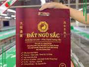 Túi Vải Hột Xoài