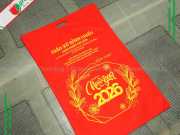 Túi Vải Không Dệt Size Lớn