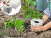 Túi Vải Không Dệt Trồng Cây