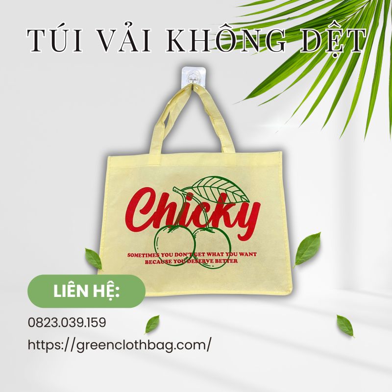 Túi Vải Không Dệt